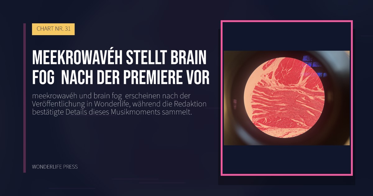Wonderlife Press: meekrowavéh stellt brain fog  nach der Premiere vor. Veröffentlichungscover. CHART NR. 31.