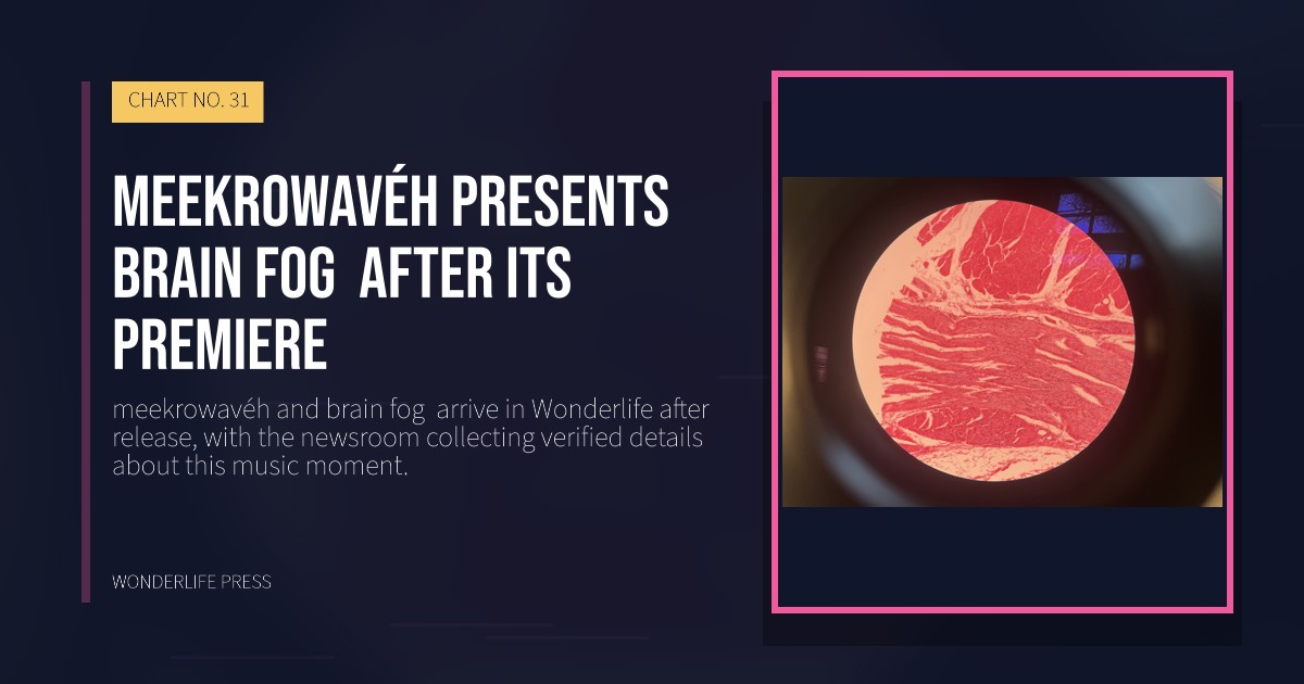Wonderlife Press: meekrowavéh presents brain fog  after its premiere. release artwork. CHART NO. 31.