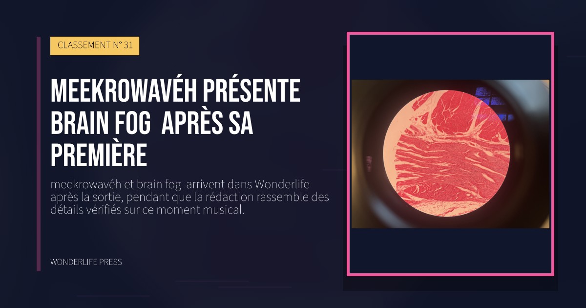Wonderlife Press: meekrowavéh présente brain fog  après sa première. pochette de la sortie. CLASSEMENT N° 31.