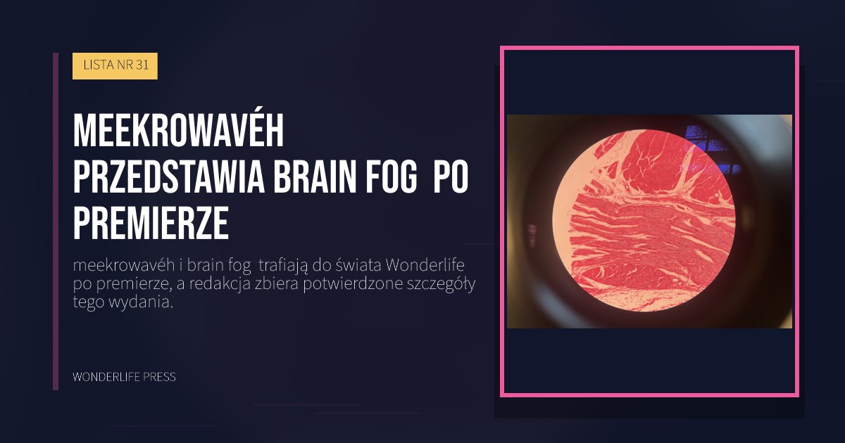 Wonderlife Press: meekrowavéh przedstawia brain fog  po premierze. okładka wydawnictwa. LISTA NR 31.