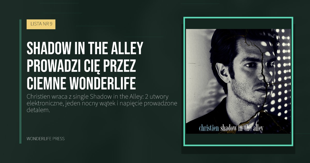 Wonderlife Press: Shadow in the Alley prowadzi cię przez ciemne Wonderlife. okładka wydawnictwa. LISTA NR 9.