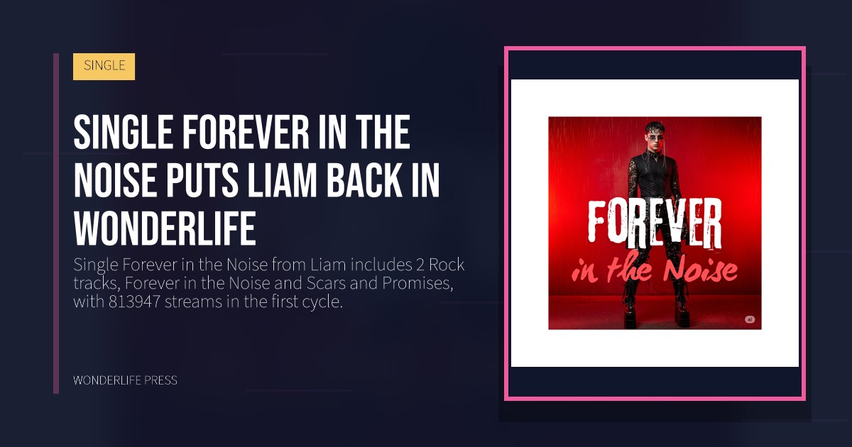 Wonderlife Press: Single Forever in the Noise puts Liam back in Wonderlife. release artwork. SINGLE.