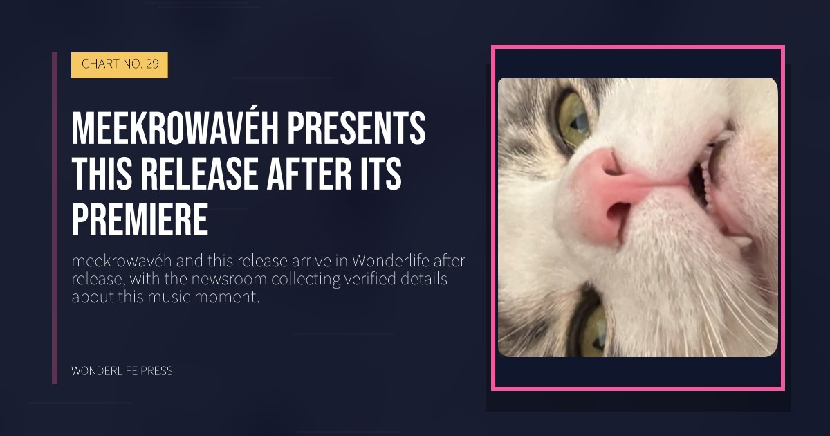 Wonderlife Press: meekrowavéh presents this release after its premiere. release artwork. CHART NO. 29.