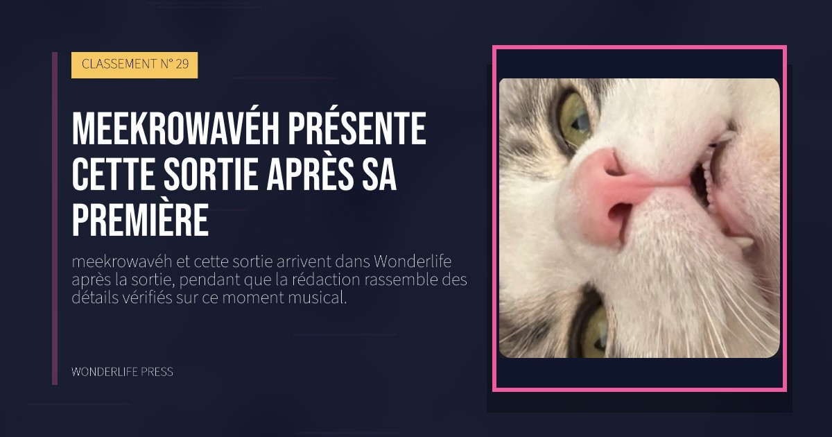 Wonderlife Press: meekrowavéh présente cette sortie après sa première. pochette de la sortie. CLASSEMENT N° 29.