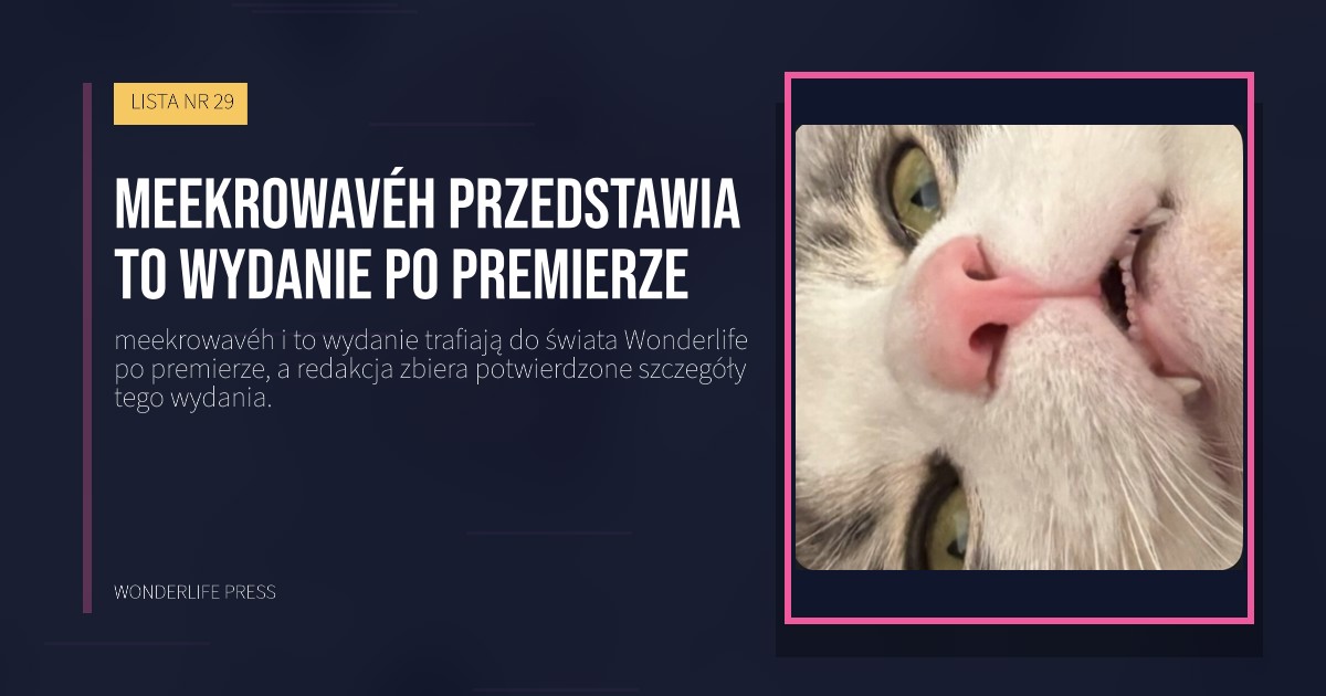 Wonderlife Press: meekrowavéh przedstawia to wydanie po premierze. okładka wydawnictwa. LISTA NR 29.