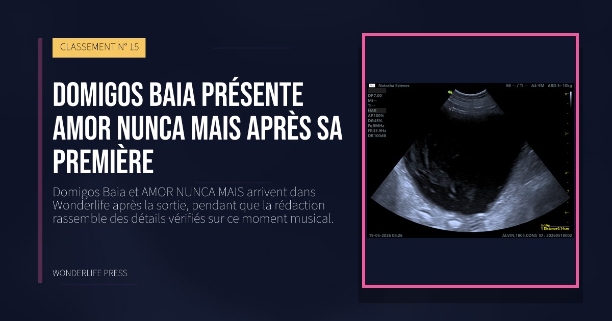 Wonderlife Press: Domigos Baia présente AMOR NUNCA MAIS après sa première. pochette de la sortie. CLASSEMENT N° 15.