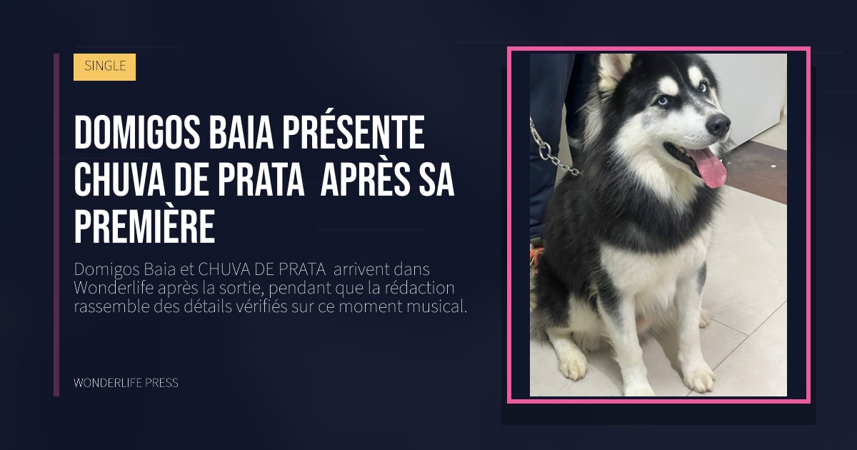 Wonderlife Press: Domigos Baia présente CHUVA DE PRATA  après sa première. pochette de la sortie. SINGLE.