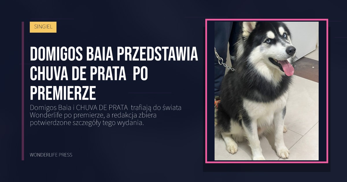 Wonderlife Press: Domigos Baia przedstawia CHUVA DE PRATA po premierze. okładka wydawnictwa. SINGIEL.