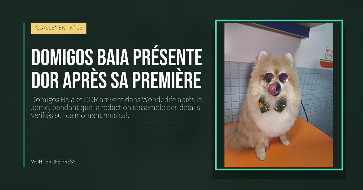 Wonderlife Press: Domigos Baia présente DOR après sa première. pochette de la sortie. CLASSEMENT N° 22.