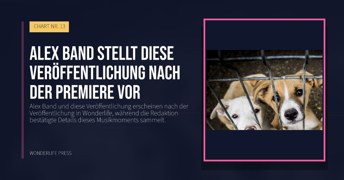 Wonderlife Press: Alex Band stellt diese Veröffentlichung nach der Premiere vor. Veröffentlichungscover. CHART NR. 13.