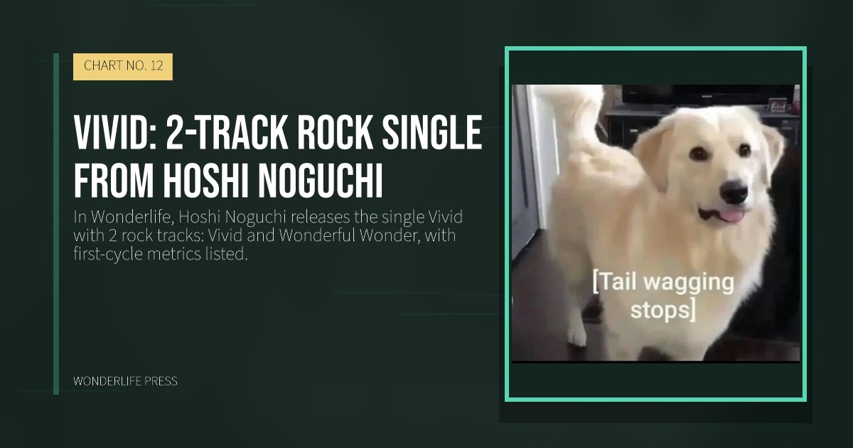 Wonderlife Press: Vivid: 2-track rock single from Hoshi Noguchi. release artwork. CHART NO. 12.