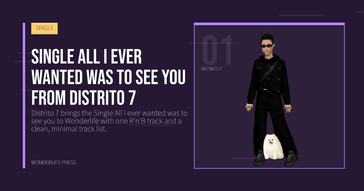 Wonderlife Press: Single All I ever wanted was to see you from Distrito 7. artist portrait. SINGLE.