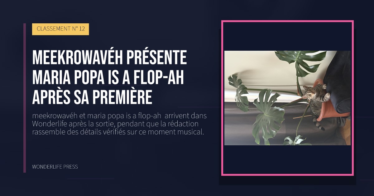 Wonderlife Press: meekrowavéh présente maria popa is a flop-ah  après sa première. pochette de la sortie. CLASSEMENT N° 12.