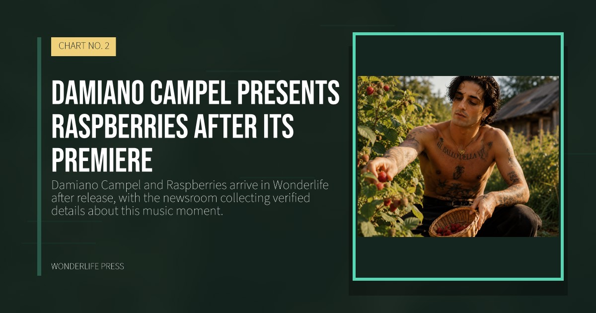 Wonderlife Press: Damiano Campel presents Raspberries after its premiere. release artwork. CHART NO. 2.