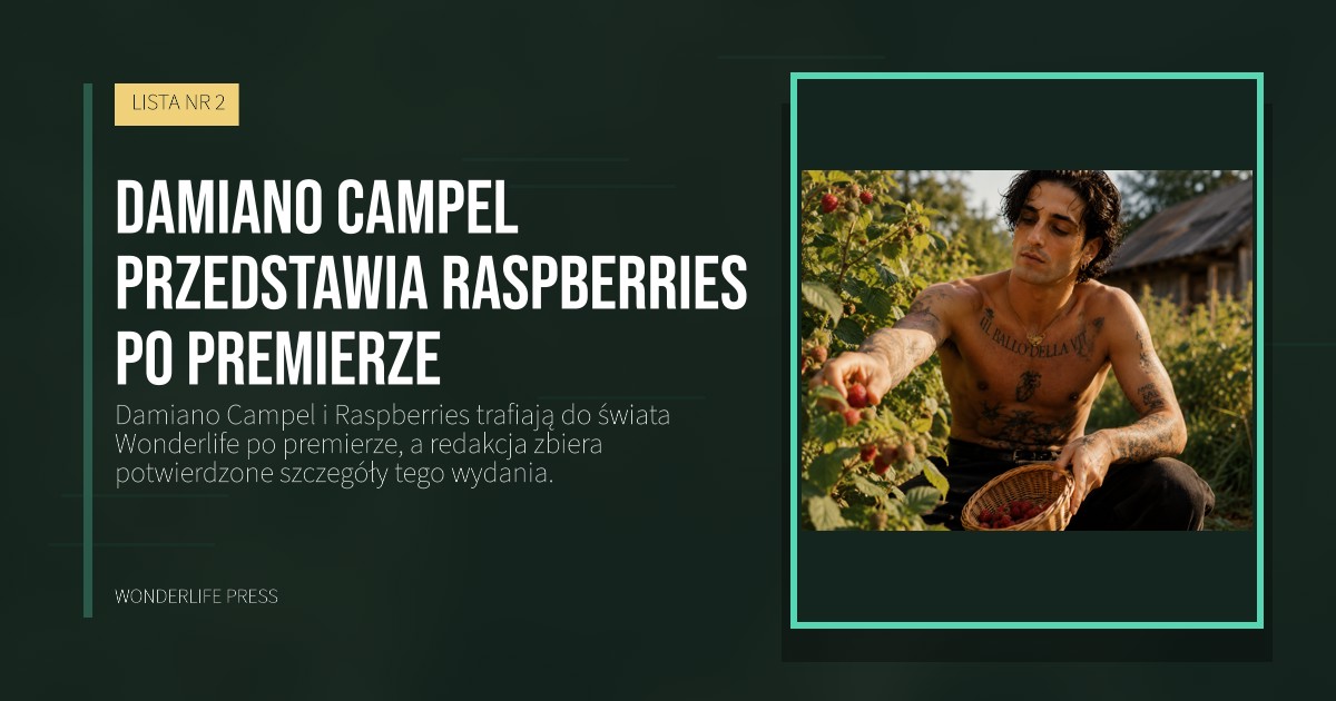 Wonderlife Press: Damiano Campel przedstawia Raspberries po premierze. okładka wydawnictwa. LISTA NR 2.