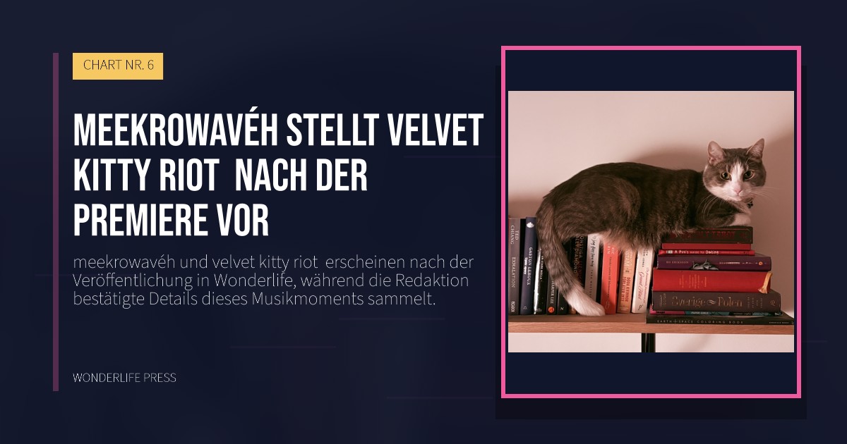Wonderlife Press: meekrowavéh stellt velvet kitty riot  nach der Premiere vor. Veröffentlichungscover. CHART NR. 6.
