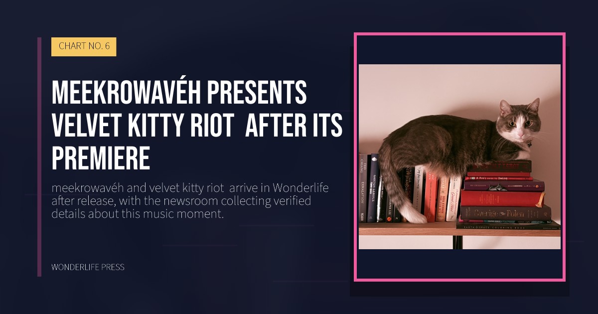 Wonderlife Press: meekrowavéh presents velvet kitty riot  after its premiere. release artwork. CHART NO. 6.