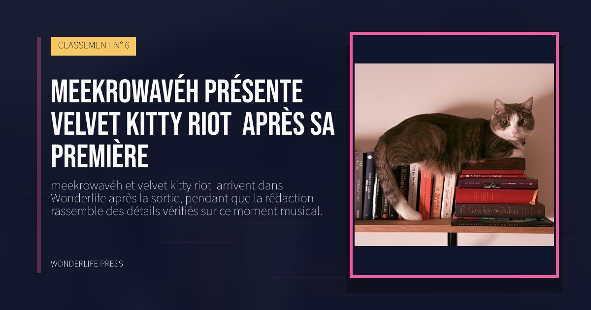 Wonderlife Press: meekrowavéh présente velvet kitty riot  après sa première. pochette de la sortie. CLASSEMENT N° 6.