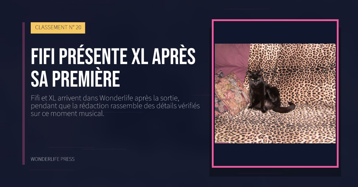 Wonderlife Press: Fifi présente XL après sa première. pochette de la sortie. CLASSEMENT N° 20.