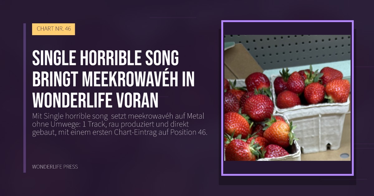 Wonderlife Press: Single horrible song  bringt meekrowavéh in Wonderlife voran. Veröffentlichungscover. CHART NR. 46.