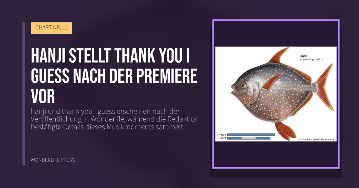 Wonderlife Press: hanji stellt thank you i guess nach der Premiere vor. Veröffentlichungscover. CHART NR. 11.