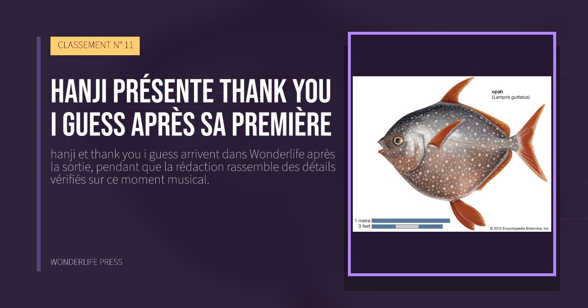 Wonderlife Press: hanji présente thank you i guess après sa première. pochette de la sortie. CLASSEMENT N° 11.