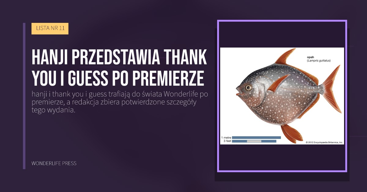 Wonderlife Press: hanji przedstawia thank you i guess po premierze. okładka wydawnictwa. LISTA NR 11.
