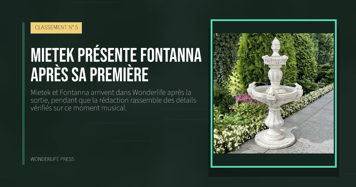 Wonderlife Press: Mietek présente Fontanna après sa première. pochette de la sortie. CLASSEMENT N° 5.