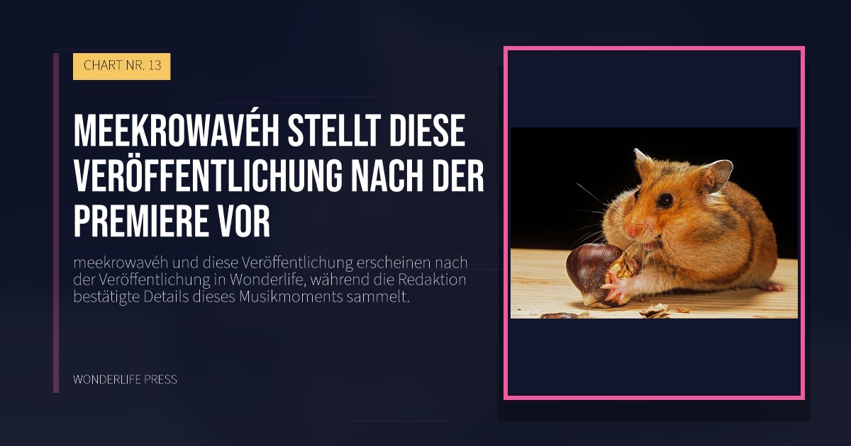 Wonderlife Press: meekrowavéh stellt diese Veröffentlichung nach der Premiere vor. Veröffentlichungscover. CHART NR. 13.