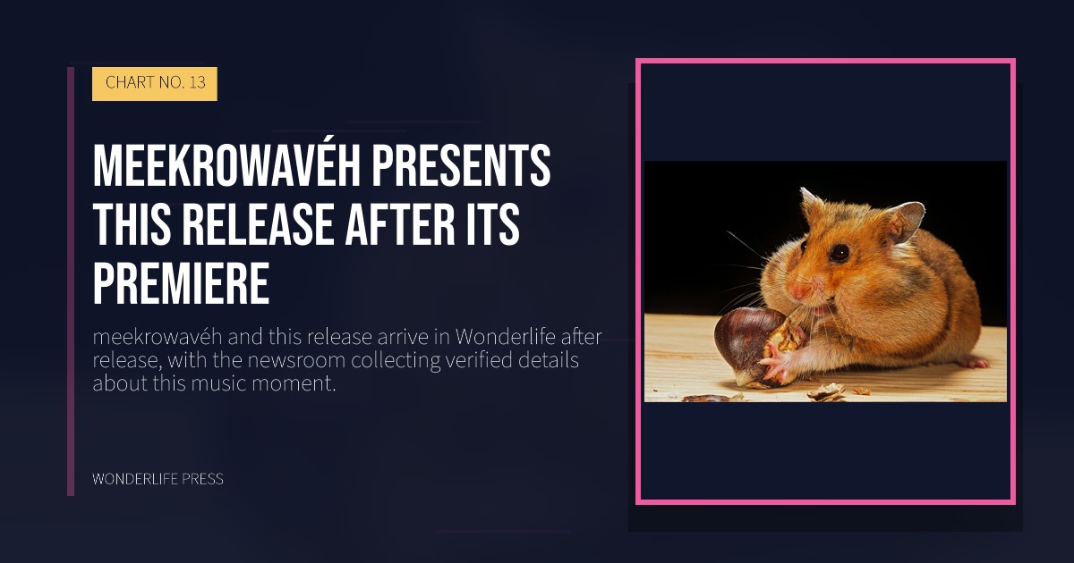 Wonderlife Press: meekrowavéh presents this release after its premiere. release artwork. CHART NO. 13.