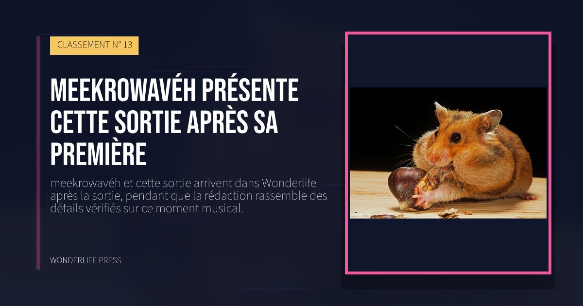 Wonderlife Press: meekrowavéh présente cette sortie après sa première. pochette de la sortie. CLASSEMENT N° 13.