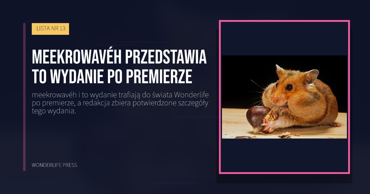 Wonderlife Press: meekrowavéh przedstawia to wydanie po premierze. okładka wydawnictwa. LISTA NR 13.