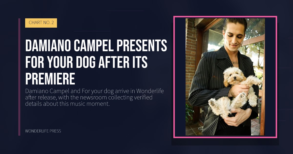 Wonderlife Press: Damiano Campel presents For your dog after its premiere. release artwork. CHART NO. 2.
