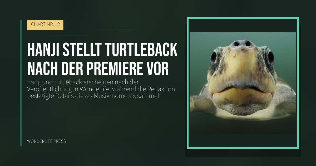 Wonderlife Press: hanji stellt turtleback nach der Premiere vor. Veröffentlichungscover. CHART NR. 12.