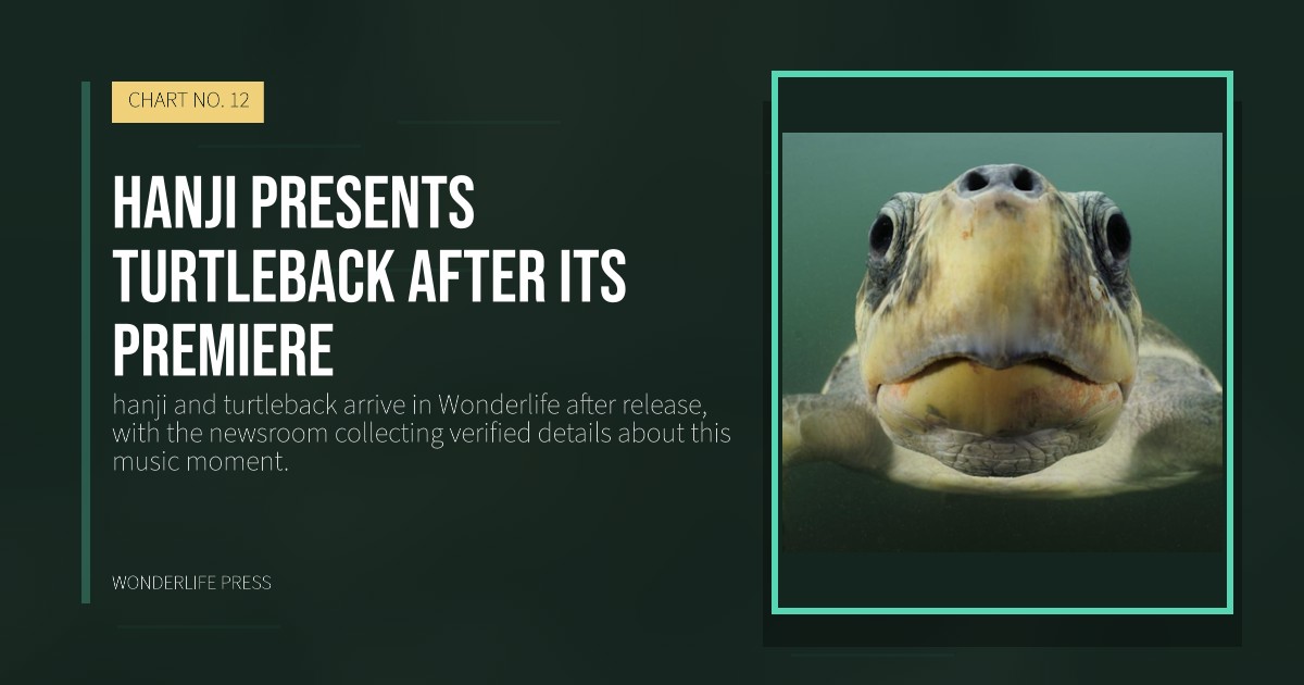 Wonderlife Press: hanji presents turtleback after its premiere. release artwork. CHART NO. 12.