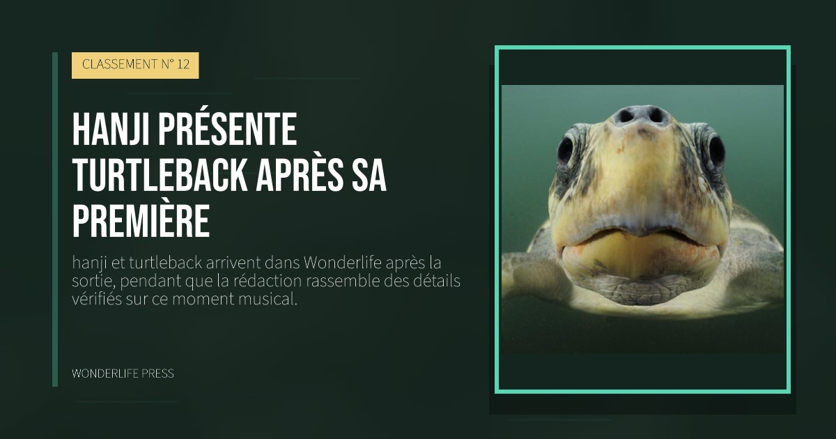 Wonderlife Press: hanji présente turtleback après sa première. pochette de la sortie. CLASSEMENT N° 12.
