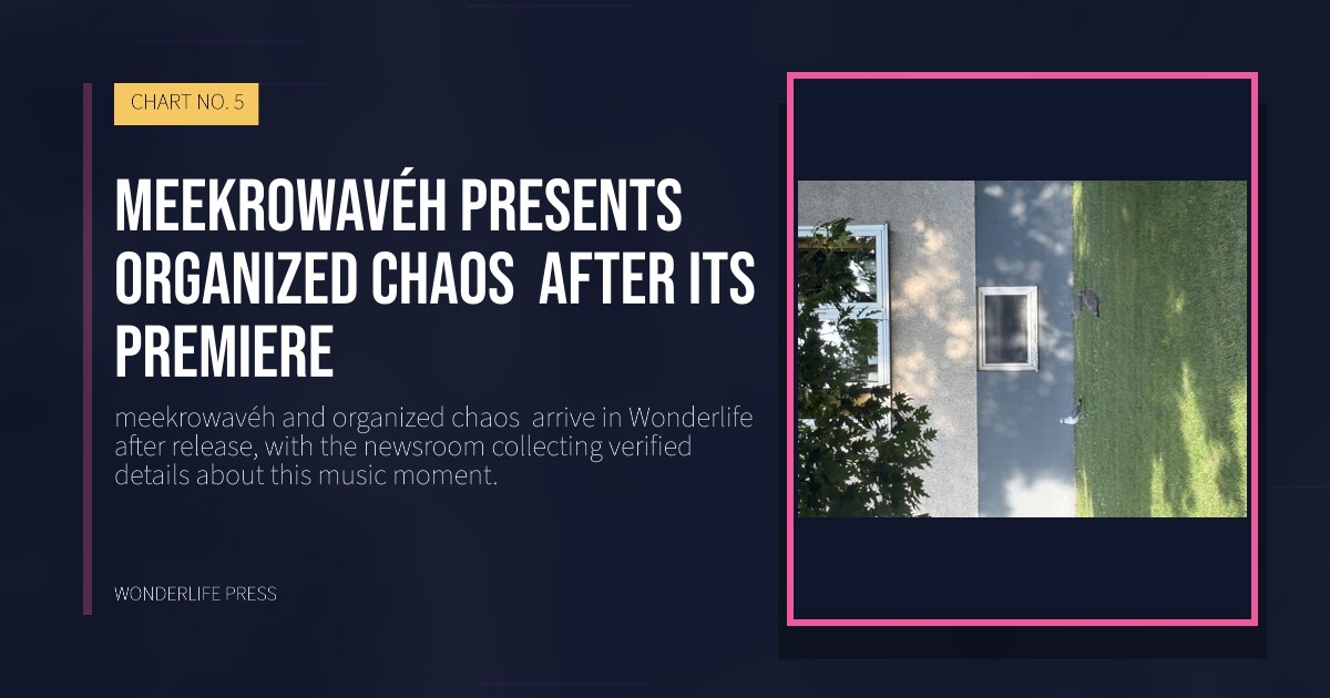 Wonderlife Press: meekrowavéh presents organized chaos  after its premiere. release artwork. CHART NO. 5.