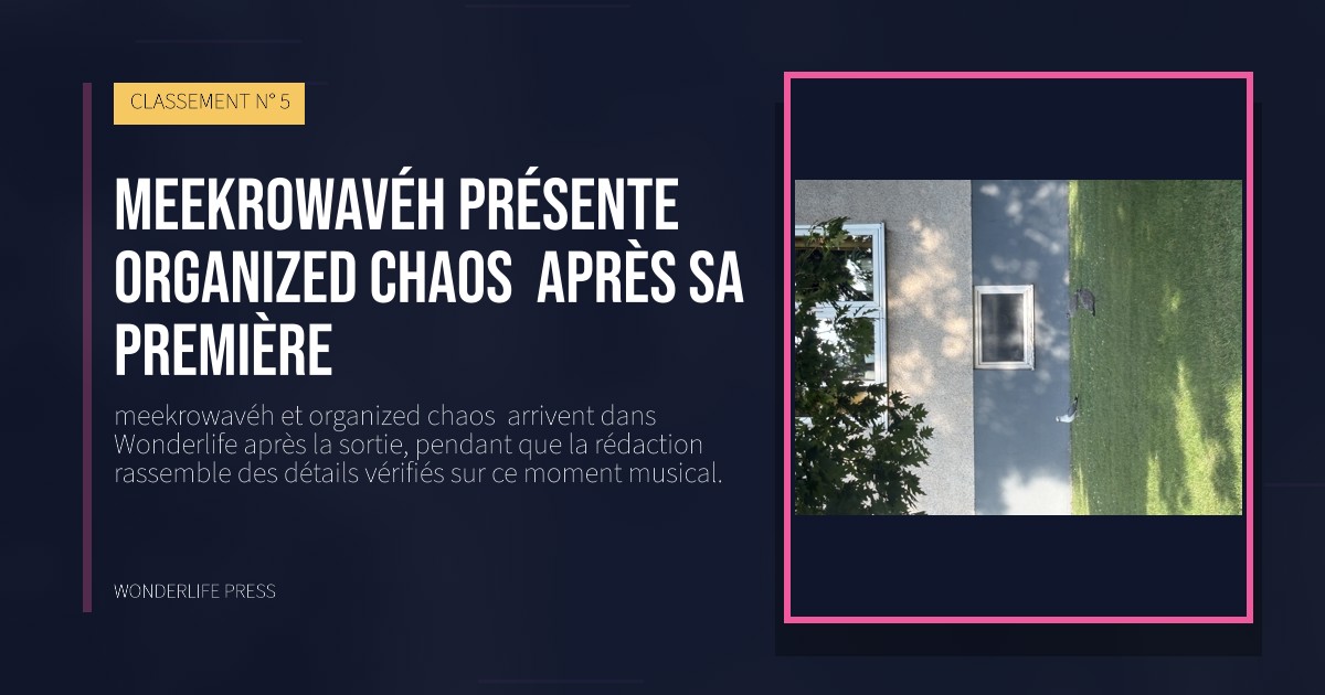 Wonderlife Press: meekrowavéh présente organized chaos  après sa première. pochette de la sortie. CLASSEMENT N° 5.