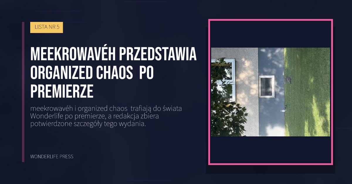 Wonderlife Press: meekrowavéh przedstawia organized chaos  po premierze. okładka wydawnictwa. LISTA NR 5.